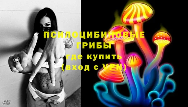 индика Армянск