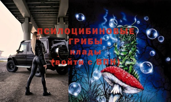 индика Армянск