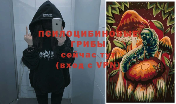 индика Армянск