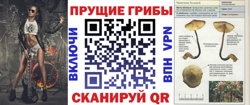 Псилоцибиновые грибы Psilocybe  Белинский 